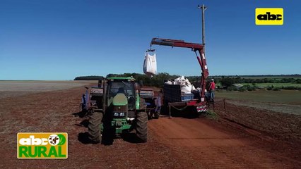 ABC Rural: Te recomienda -  Lograr una “doble zafra”