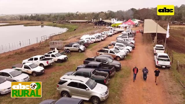 ABC Rural: Ventajas de adquirir ejemplares lecheros con genética definida