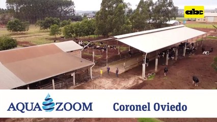 09 Abc Rural Empezó Con 22 Litros De Leche Y Hoy Produce 31 Litros En Promedio