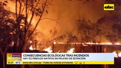 Hay 132 árboles nativos en peligro de extinción por incendios