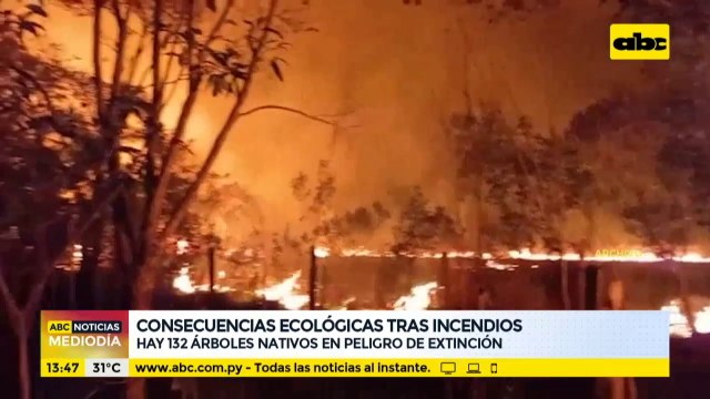 Hay 132 árboles nativos en peligro de extinción por incendios
