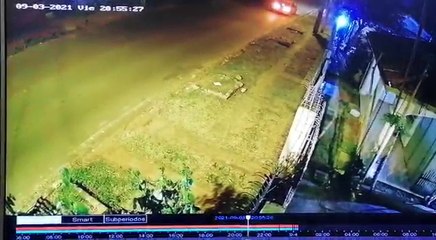 Fiscal Denuncia Que Su Perrito Fue Robado