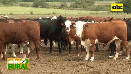 ABC Rural: Internacionales - China le tomo el gusto a la carne bovina