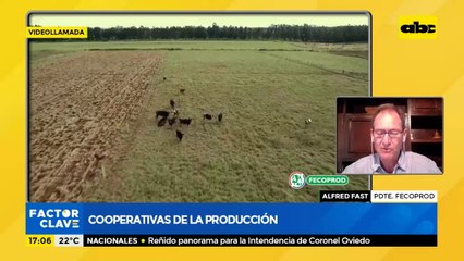 Cooperativas de la producción: El futuro está en el campo