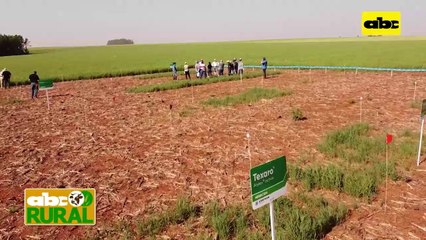 Abc Rural: Jornada de campo y desecación malezas de Corteva