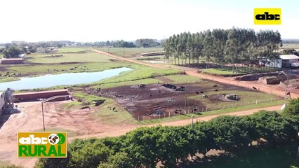 ABC Rural: Nutrición de terneras lecheras en etapa de cría y recría