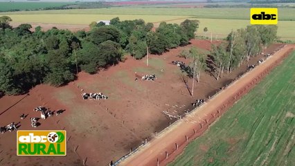 ABC Rural: Túnel de aire, lo último en confort de vacas lecheras