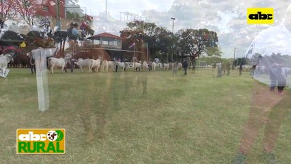 ABC Rural : Arrancó la 75 Expo Ganadera en Roque Alonso