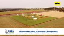 ABC Rural: Importancia de una buena fertilización en trigo