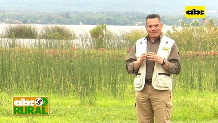 ABC Rural: Uso de sales minerales Indabal en nutrición animal