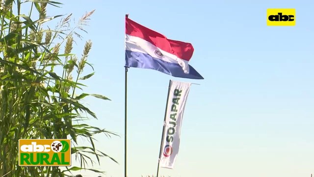 ABC Rural: Inbio sigue trabajando para crear nuevas variedades de soja