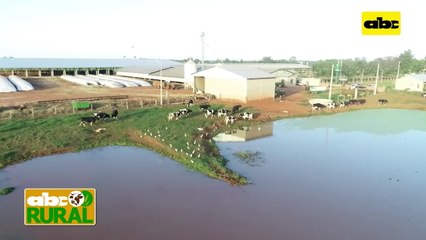 ABC Rural: Historia del Tambo Verde, producción e industria