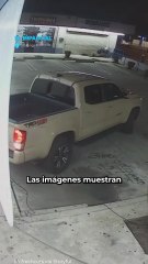 Asalto en barbería de LA; ladrones se llevan hasta el gato