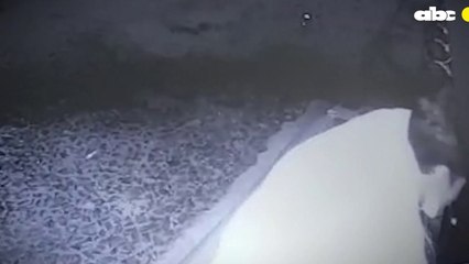 Así burla un ladrón de bicicletas las fuertes medidas antirobo de una casa