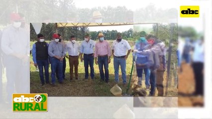 ABC Rural: Lanzaron campaña de sésamo 2021/2022