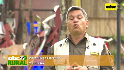 ABC Rural: Gran presencia ovina en la Expo Ganadera y su futuro