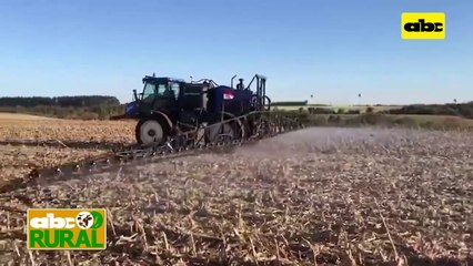 ABC Rural: Ciclo de producción y tecnología de siembra