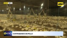 Contrabando de pollo