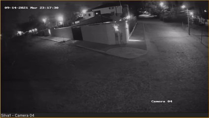 Detienen a dos “robafocos” en Villa Elisa