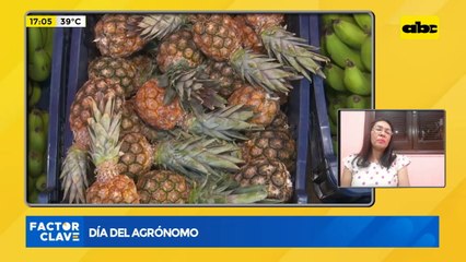 Día del agrónomo: ¿Cómo trabaja el sector?