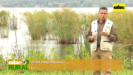 ABC Rural: Presentación de objetivos de Ideagro, Chaco