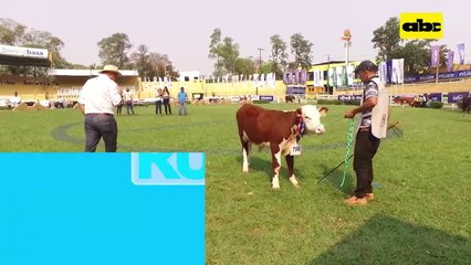 ABC Rural: Expo Ganadera 2021 y mercado de la carne