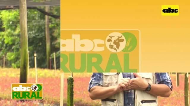 ABC Rural: Noche Indabal en la Expo Ganadera de MRA 2021