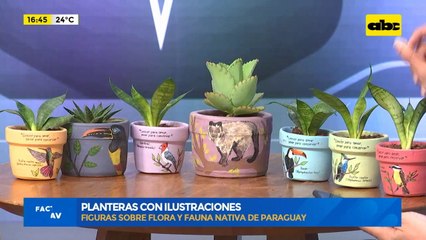 Planteras creativas con ilustraciones