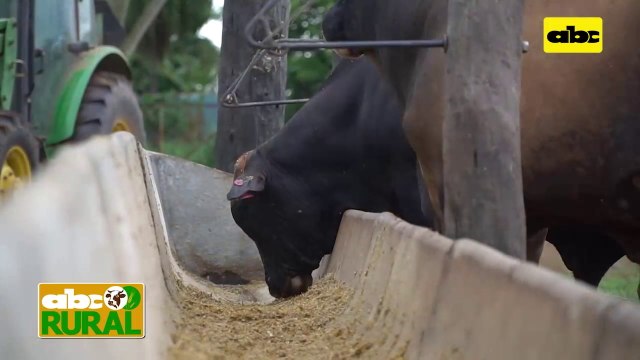 ABC Rural: Granusa junto a los campeones de la Expo Ganadera MRA 2021