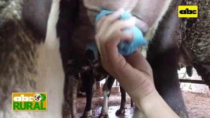 Manejo De Toallas Para Desinfección Y Uso De Sellador