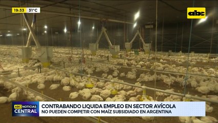 Denuncian masivo contrabando de huevos