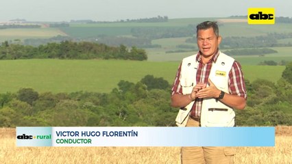 Hato ganadero estancado y cuál puede ser el camino