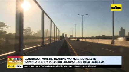 Corredor vial Botánico es trampa mortal para aves