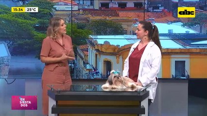 Maltrato animal y Ley de Protección