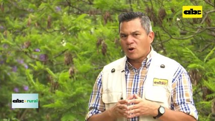 Cuidado De Caminos Gracias Al Sistema De Siembra Directa