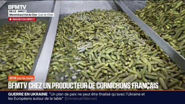 Alors que les Français sont les plus gros consommateurs de cornichons au monde, ce producteur veut mettre en avant la production française