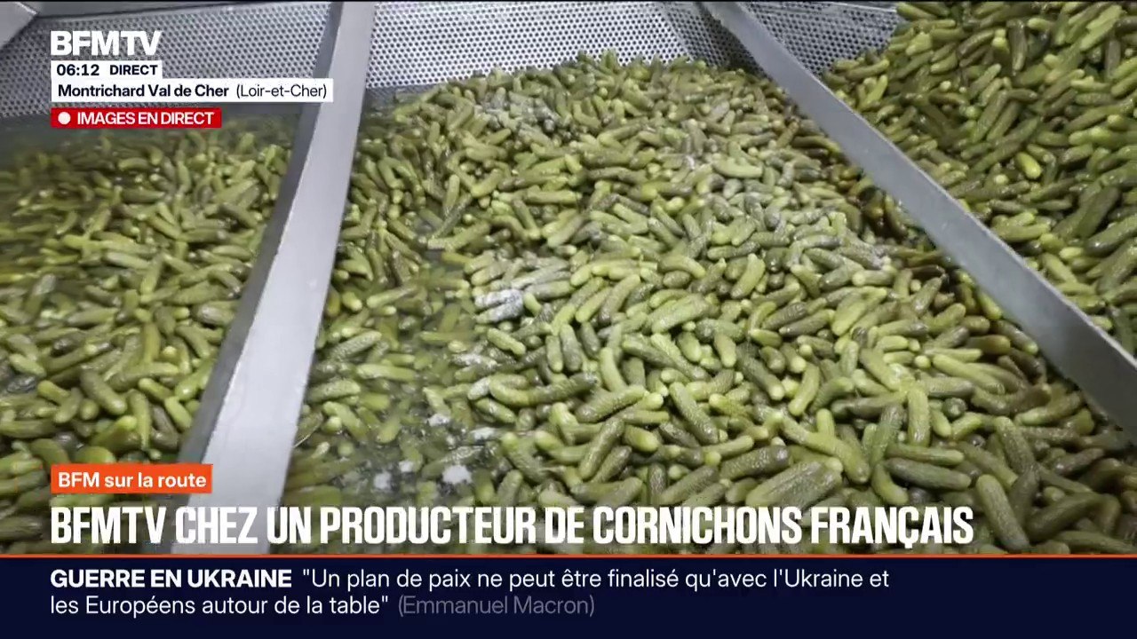 Alors que les Français sont les plus gros consommateurs de cornichons au monde, ce producteur veut mettre en avant la production française