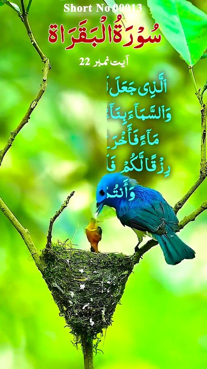 Islamicsorat bakra