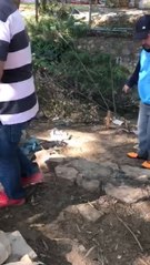 Comisión del Senado visitó Plaza de Mariano donde construyen  sobre cauce hídrico