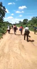 Buscan rescatar a trabajadores Ishir en el Chaco