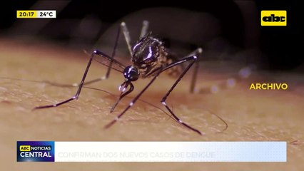 Dos nuevos casos de dengue se confirmaron en las últimas semanas en el barrio Nazareth de Asunción