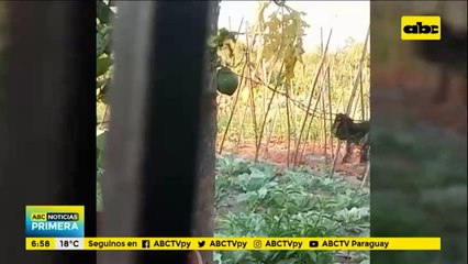 Ante ineficacia fiscal, vecinos de J. Augusto Saldívar crean comisión garrote