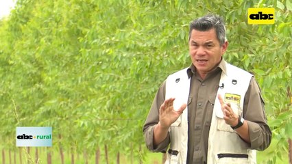 ABC RURAL: Tipos de picos para sistemas de riego por aspersión