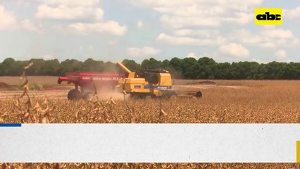 Rainbow Prepara Novedades Para El 2022 - Ok