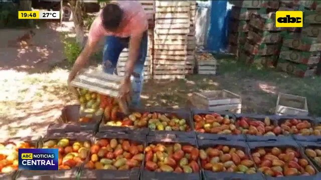 Productores desesperados por falta de venta en Caaguazú