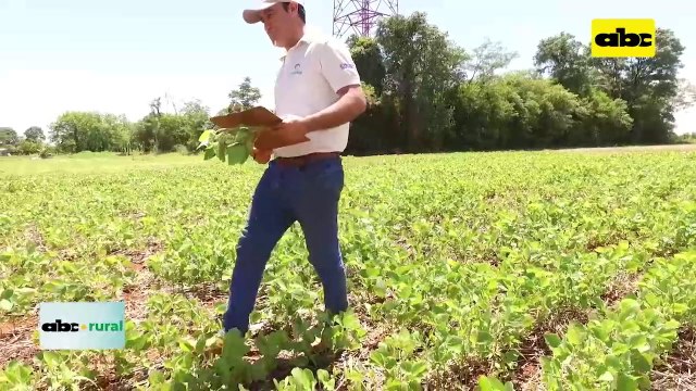 ABC RURAL: Inbio sigue trabajando con variedades de soja