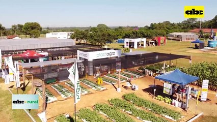 ABC RURAL: Presentaron variedad de tomate resistente a ralstonia