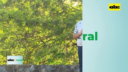 ABC RURAL: Crecimiento de la agricultura en el departamento de Caazapá