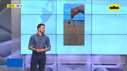 Turismo y Excursiones: Isla Vy'a Renda, un lugar paradisíaco