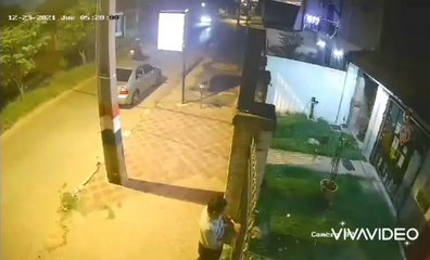 Maltrato animal: arrojan a perrita sobre un portón y la abandonan en veterinaria